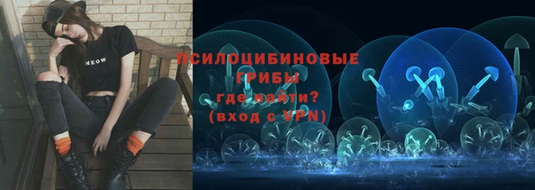 винт Янаул