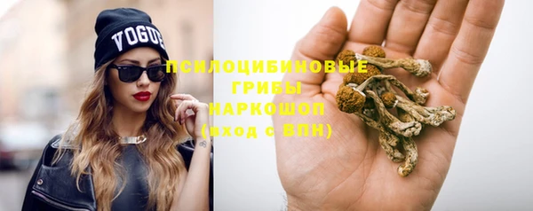 трава Яровое