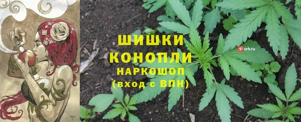 MESCALINE Коряжма
