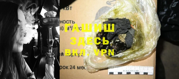 PSILOCYBIN Корсаков
