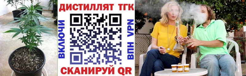 ТГК гашишное масло  Купить где  Кингисепп 