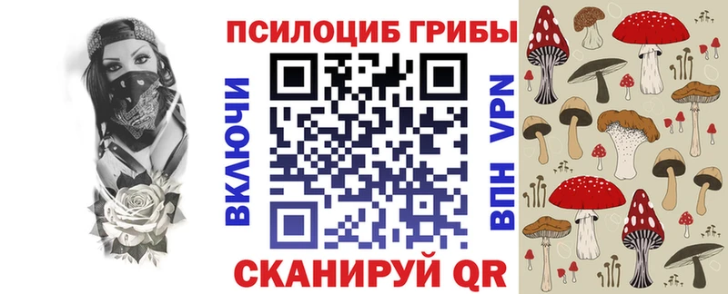 Купить закладки  Кингисепп  Псилоцибиновые грибы Cubensis 